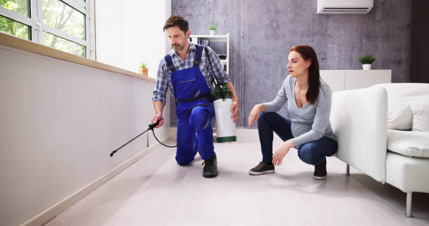 Professional Pest Control in Willacoochee, GA